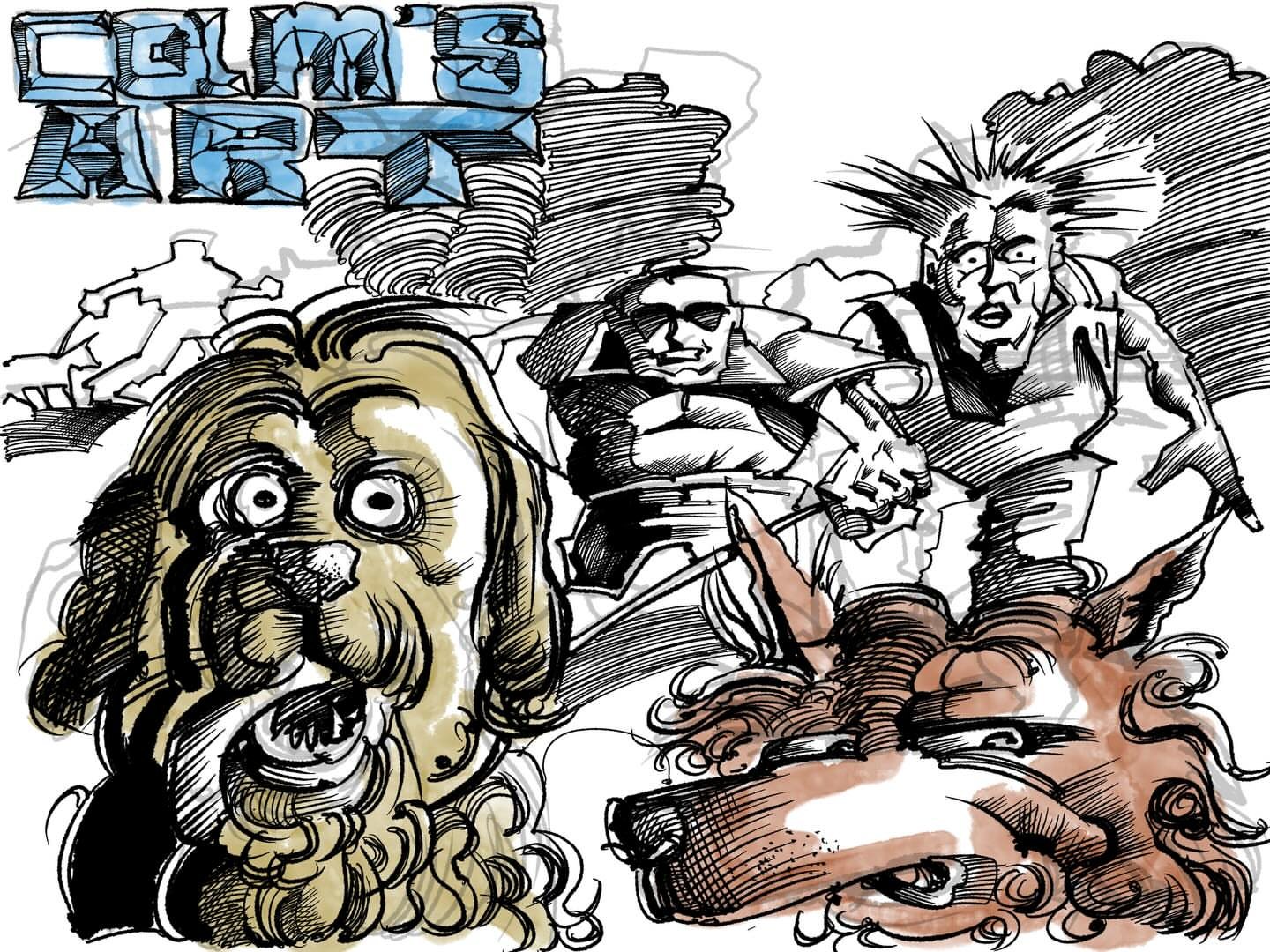 DOG PARK